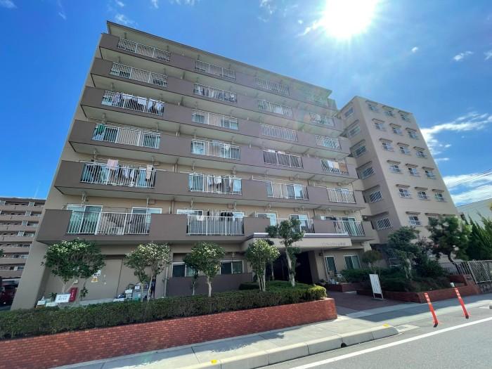 ゾンネンハイム草加