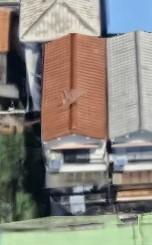 東大阪市下小阪１丁目不動産