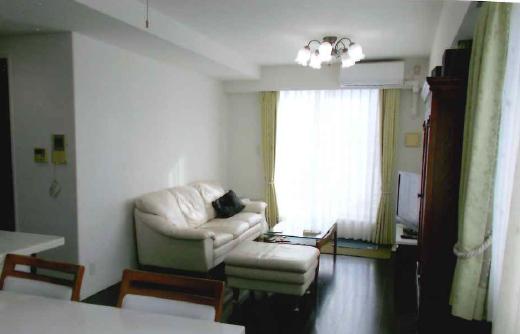 アルファステイツ国府