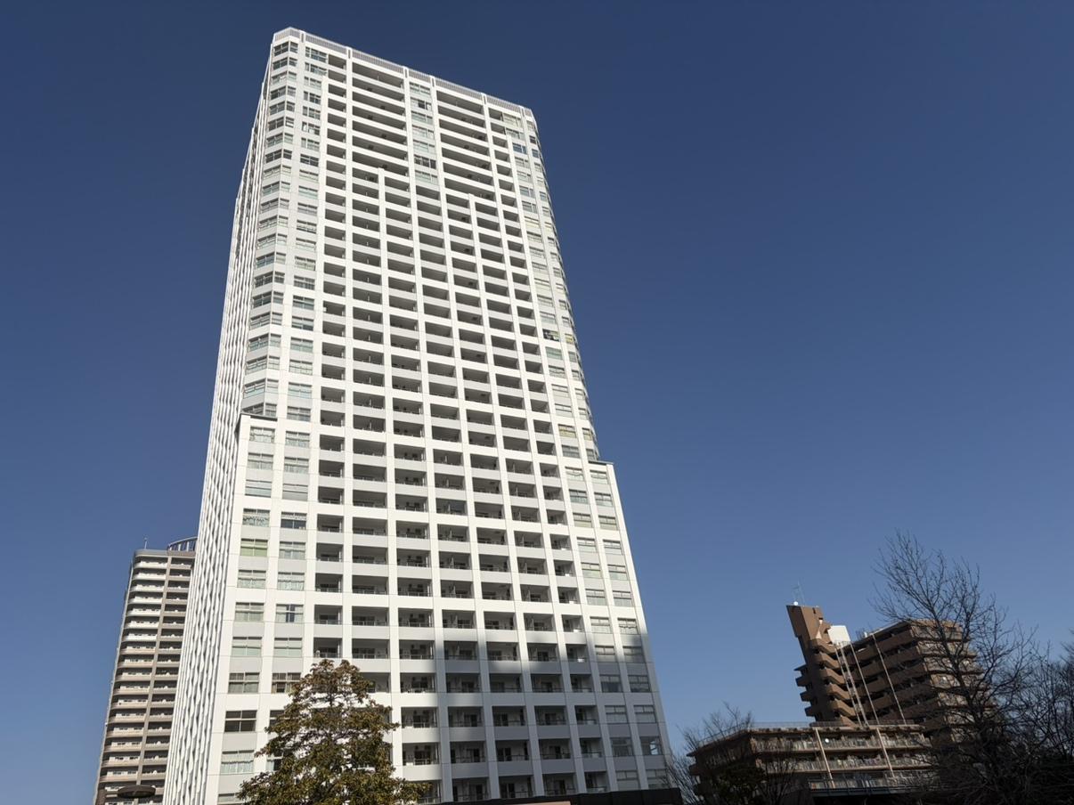 東京シーサウスブランファーレ