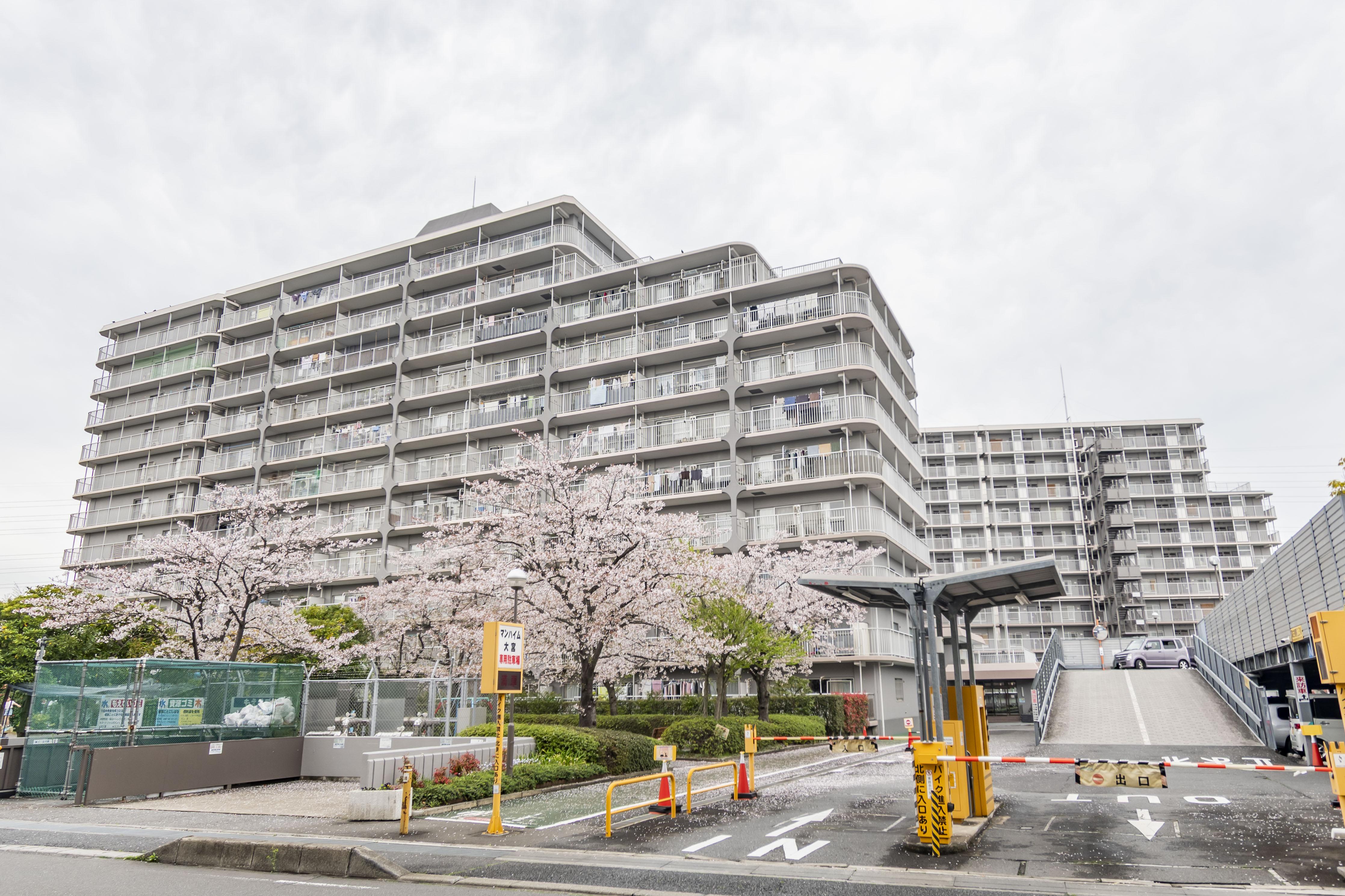 マンハイム大宮
