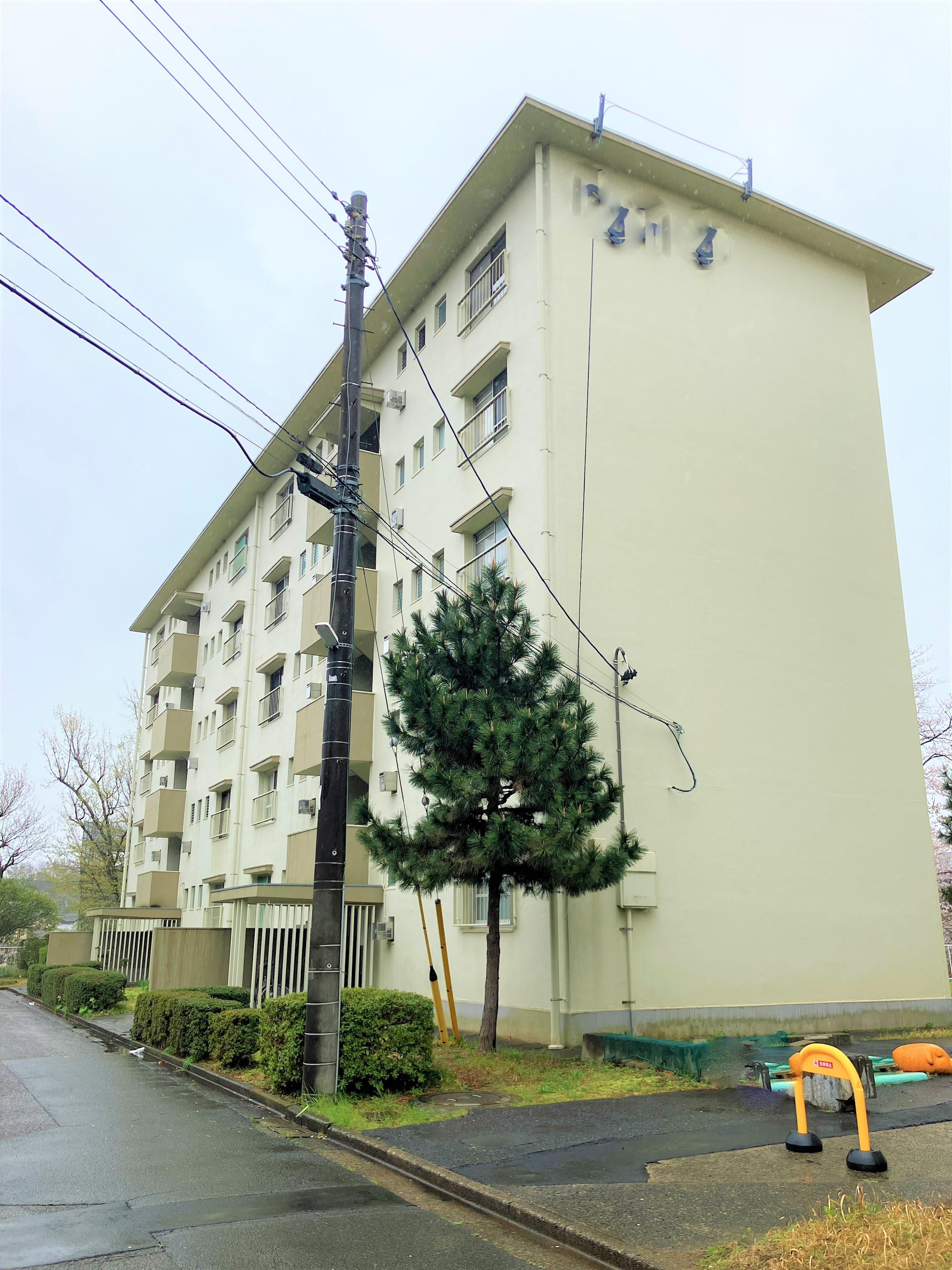 金杉台団地2-2-6